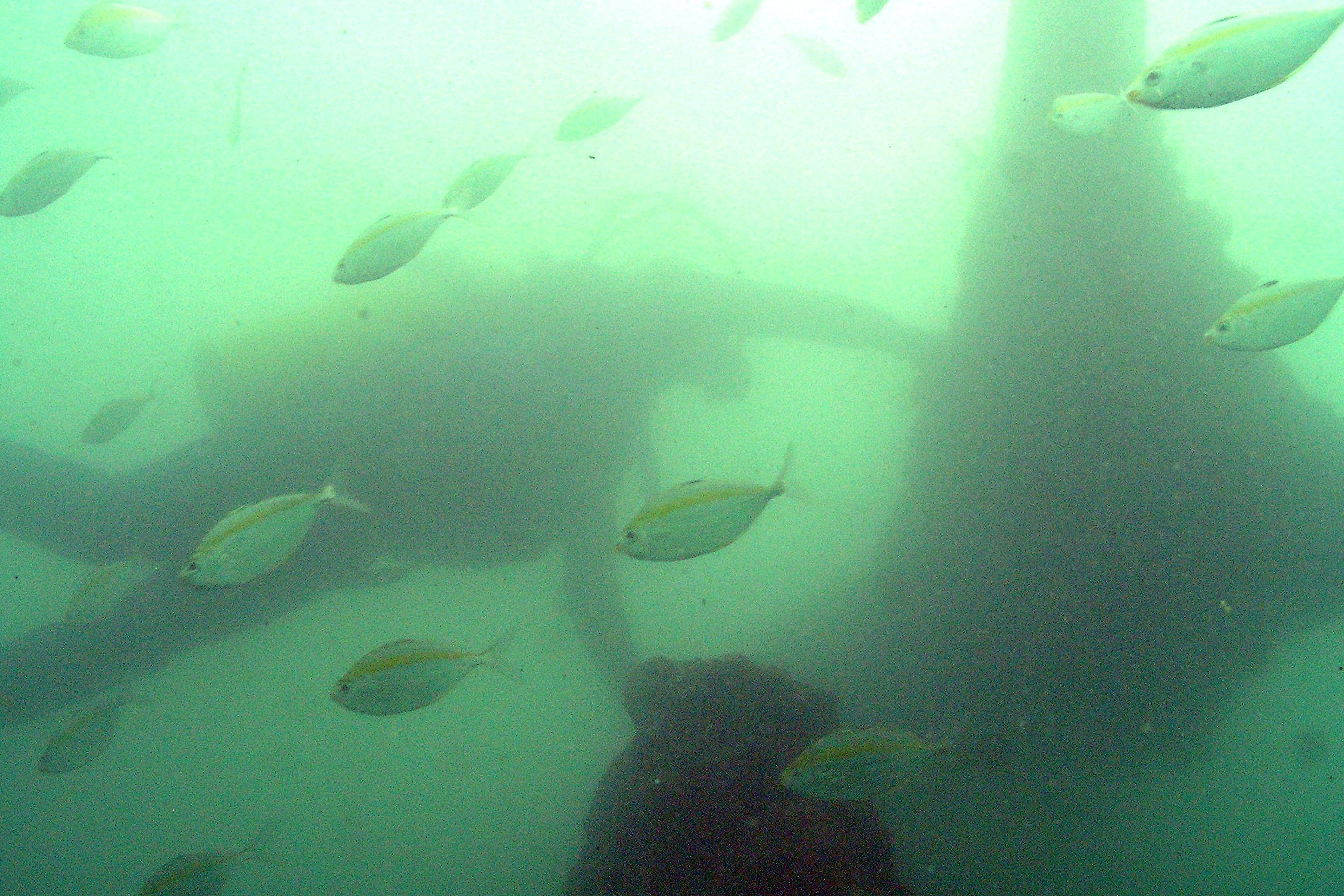 remains of the wreck